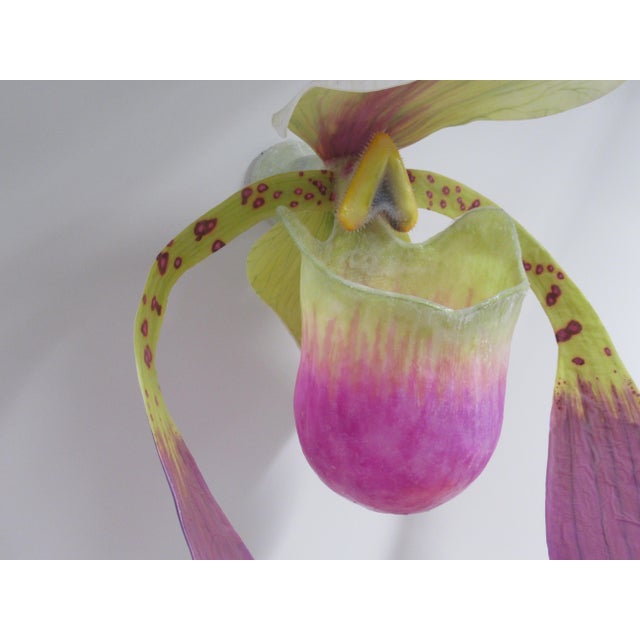 C. 2015 Original Artist Jurgen Reichert "Paphiopedilum Mirabilis" - Silicone Orchid, Light Wall Sculpture For Sale - Image 10 of 18