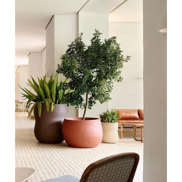 Pebble Small Brown Planter by Indigenus For Sale - Image 10 of 13