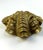 Metal Sculptural Brass Shell Trinket Bowl With Fluted Edges For Sale - Image 7 of 11