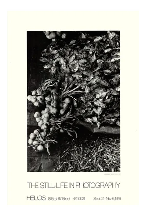Lilo Raymond Market, Ilo Ilo 26.75" X 18.25" Poster 1976 Photography Black & White Fishes, Onions, Garlic