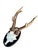 Roe deer trophy mounted on an oval wood plaque.