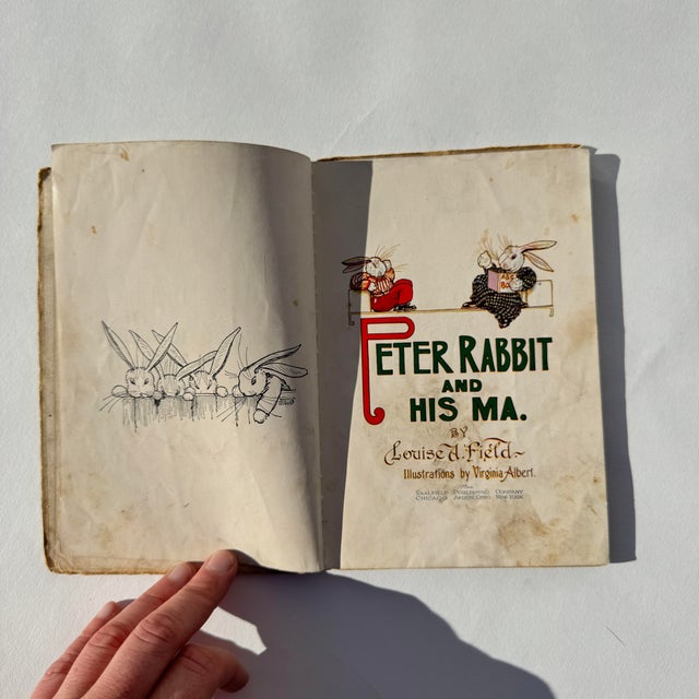1910s 1917 “Peter Rabbit and His Ma” Children’s Book For Sale - Image 5 of 7