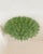 Mid-Century Modern Monumental Imperial Luxury Venetian Green ” Leaves Graniglia” Murano Glass Flush Mount in Mazzega Zuccheri Venini Barovier Style For Sale - Image 3 of 6