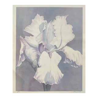 Iris Mist by Robert White Lithograph For Sale