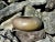 This high-quality studio ceramic art vessel was created and signed by a ceramic artist whom we have not yet been able to...