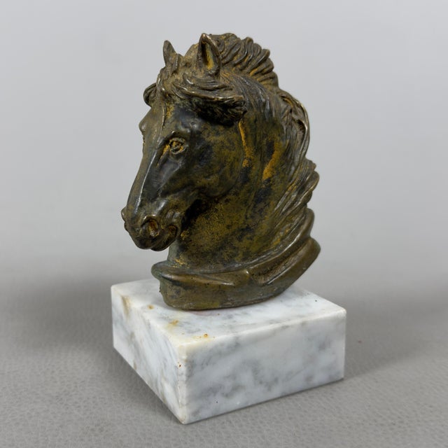 Bronze Sculpture of Achilles' Horse on a Marble Base by R. Santoro, 20th Century For Sale - Image 11 of 11