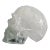 Late 20th Century Rock Crystal Skull For Sale