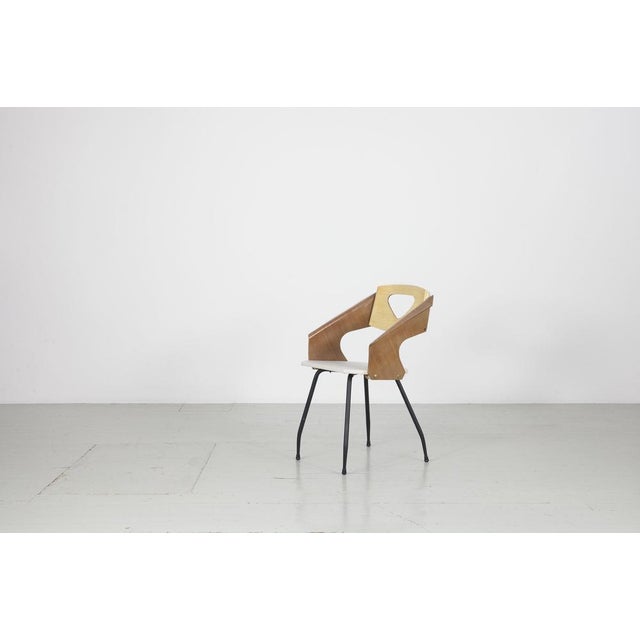 Dining Chairs by Carlo Ratti for Industria Legni Curvati, Milan, 1950s, Set of 6 For Sale - Image 10 of 18
