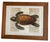 Illustration Vintage Framed Sea Turtle Botanical Style Art Print For Sale - Image 3 of 12