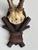 Brown Collection of Antique Black Forest Roe Deer Trophy Antler Mounts - Set of 3 For Sale - Image 8 of 17