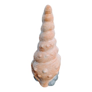 Extra Tall Ceramic Peach Grey Coastal Seashell Planter For Sale