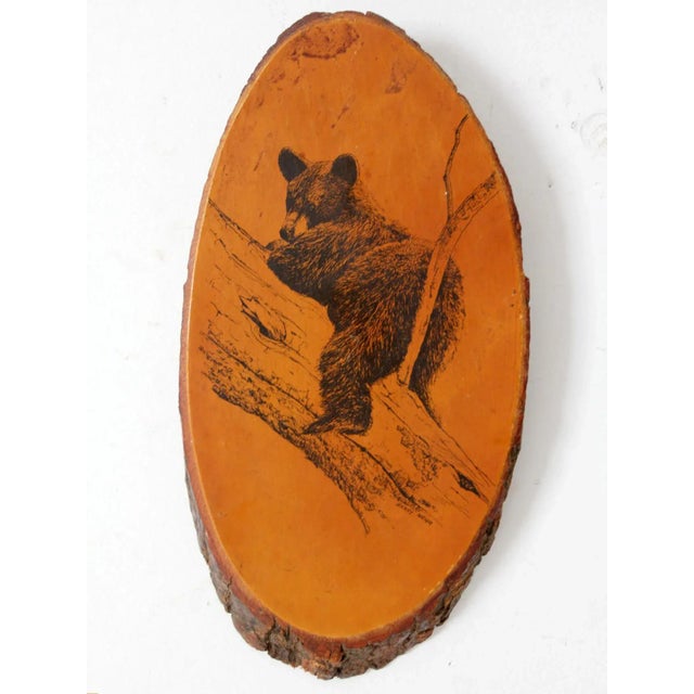 Wood Vintage Barry Nehr Bear Cub Wood Slice Wall Hanging For Sale - Image 7 of 9