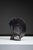Abstract Sculpture from Cor Dam For Sale - Image 3 of 15