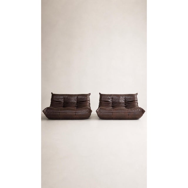 Togo Sofas in Leather from Ligne Roset, 2023, Set of 2, in Flawless conditions. Designed 1970 to 1979 This piece has an...