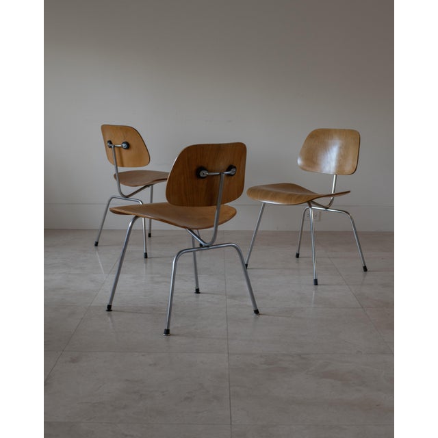 1950s Charles and Ray Eames DCM Dining Chairs by Herman Miller, Usa For Sale - Image 13 of 13
