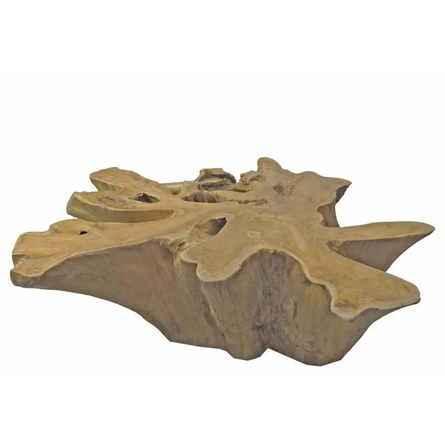 Organic Modern Natural Wood Color Teak Root Coffee Table | Chairish