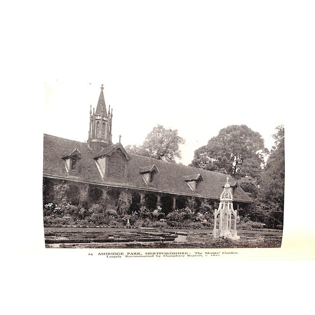 Paper "Carnations & Pinks" 1919 Cook, t.h., Douglas, James, McLeod, j.f. For Sale - Image 7 of 10