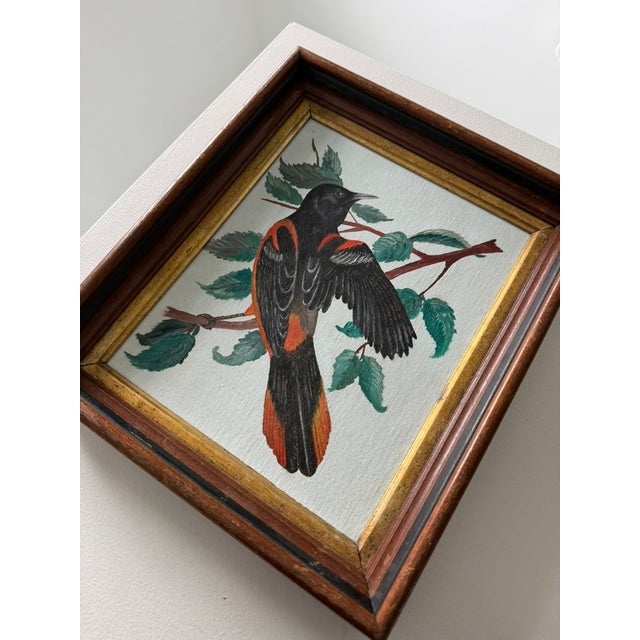 An Audubon-style Baltimore oriole rendered with a strong sense of realism. Signed “Muggs,” 1972 on the verso. Presented in...