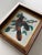 An Audubon-style Baltimore oriole rendered with a strong sense of realism. Signed “Muggs,” 1972 on the verso. Presented in...