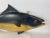 Carved and painted Atlantic Bluefin tuna. Carved fins, gills, eyes and snout. Fitted with iron hanging bolts. This carved...