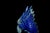 Natural Lapis Eagle Sculpture Genuine Lapis Lazuli For Sale - Image 4 of 13