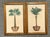 Vintage Coastal Palm Prints - A Pair For Sale - Image 11 of 12