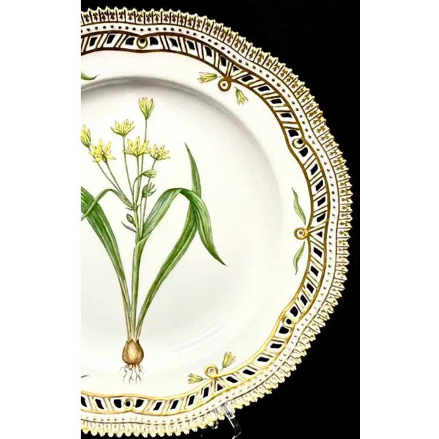 Royal Copenhagan Royal Copenhagen Flora Danica, Gagea Lutea Var Glaucascens Lge., Gilt Border For Sale - Image 4 of 8