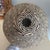 Beautiful 21st Century Wounaan Rainforest Basket For Sale - Image 4 of 8