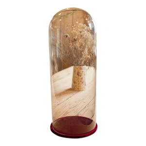 Large Antique Display Dome, Edwardian, Glass, Showcase, Taxidermy, Circa 1910