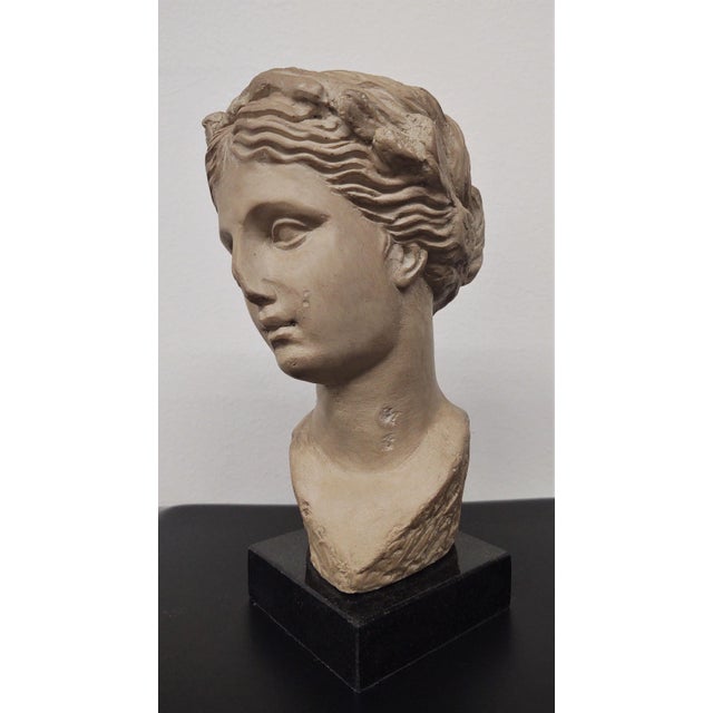 Global Views Classic Greek Goddess- Small Bust on Black Marble-Thalia-Muse of Joy-Museum Quality Reproduction Museum...