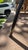 Mid-Century Modern Vintage Herman Miller Fiberglass Shell DSX Side Chair by Summit With Original Orange Upholstery For Sale - Image 3 of 9