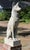 Large Pair of Pharaoh/Ibizan Hound Garden Statues by Pennoyer Newman For Sale - Image 4 of 16