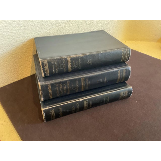 Illustration A Set of Vintage Textbooks, Leather Bound, a Collection of Three (3) For Sale - Image 3 of 12