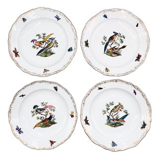 Late 19th Century Hand-Painted Porcelain Bird and Insect Plates with Gilt Rims from Meissen, Set of 4 For Sale