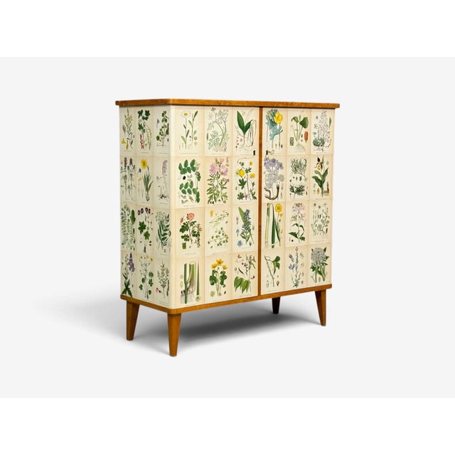 Mid-Century Modern Swedish Modern, Nordens Flora Cabinet, Birch, Floral Lithographs, Sweden, 1940s For Sale - Image 3 of 13