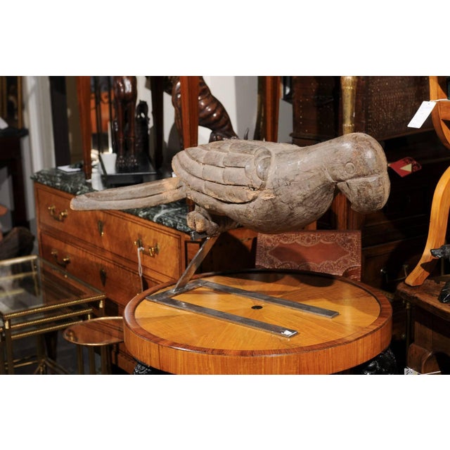 Pair of Italian Carved Wooden Parrots circa 1880, Mounted on Modern Steel Bases For Sale - Image 9 of 11