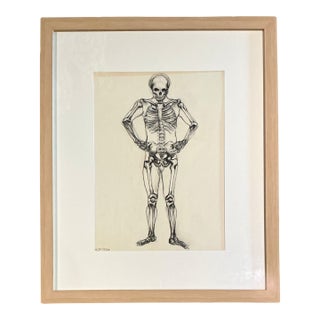 Vintage Framed Skeleton Study on Paper For Sale