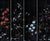 This wallpaper is produced using the latest digital print technologies, and it is the highest quality reproduction...