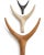 Wood Large Nguni Head Animal Head Wall Sculpture, Grey For Sale - Image 7 of 12