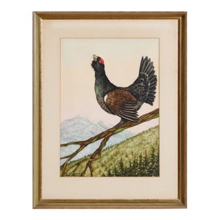 Mid 20th Century Grouse Watercolour by Jean Herblet Ex- c.z. Guest Collection For Sale