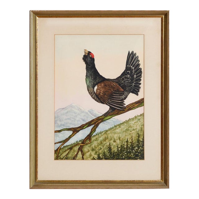 Mid 20th Century Grouse Watercolour by Jean Herblet Ex- c.z. Guest Collection For Sale