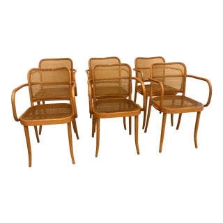 1970s Vintage Stendig Cane Bentwood Dining Chairs - Set of 6 For Sale