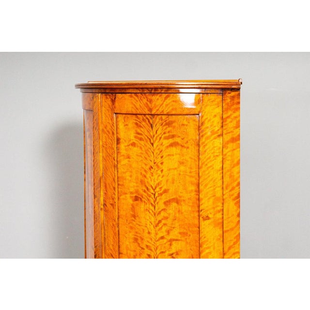 19th Century Biedermeier Corner Cabinet in Birch For Sale - Image 13 of 18