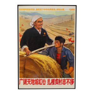 Original Vintage Chinese Propanda Poster, Determined to Take Roots in the Countryside, 1970