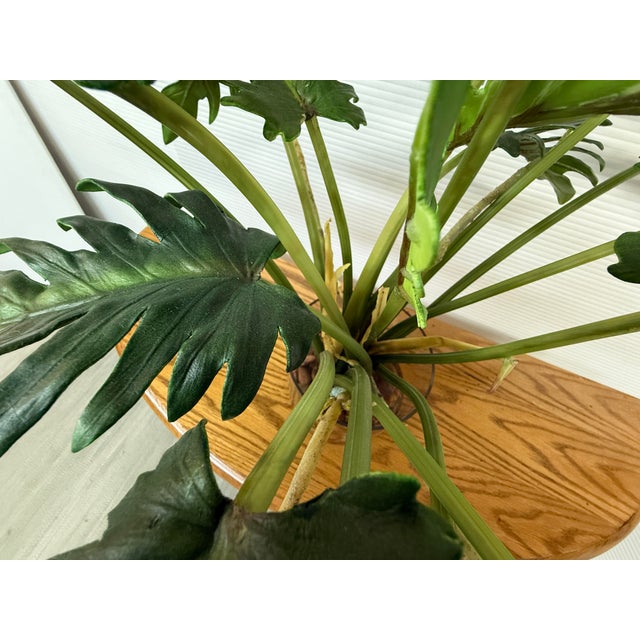 Artificial Philodendron Xanadu Plant + Clear Glass Vase For Sale - Image 12 of 12