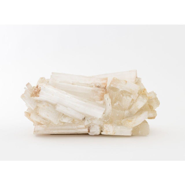 Late 20th Century Selenite Crystal Jardiniere For Sale - Image 5 of 11