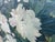 Alexandre Guelle, Flower Garden, 1911, Oil Painting on Canvas, Framed For Sale - Image 17 of 18