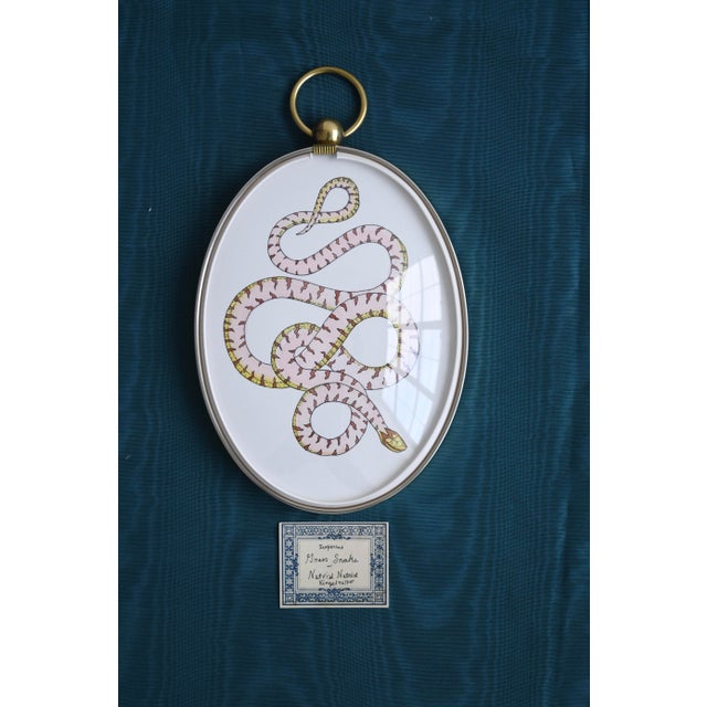 2020s Snake Painting in Vintage Frame For Sale - Image 5 of 5