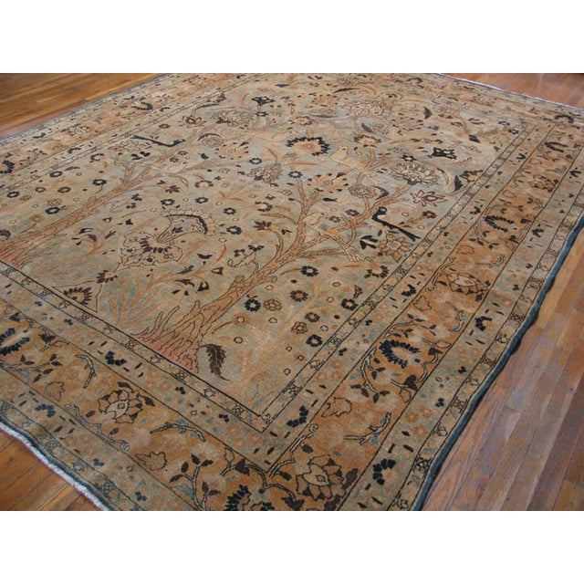 Early 20th Century N.E. Persian Khorassan Moud Carpet 9'3" x 12' - 282 x 366 )