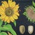 1970s Large Vintage Sunflower School Chart by Jung Koch Quentell, 1973 For Sale - Image 5 of 13